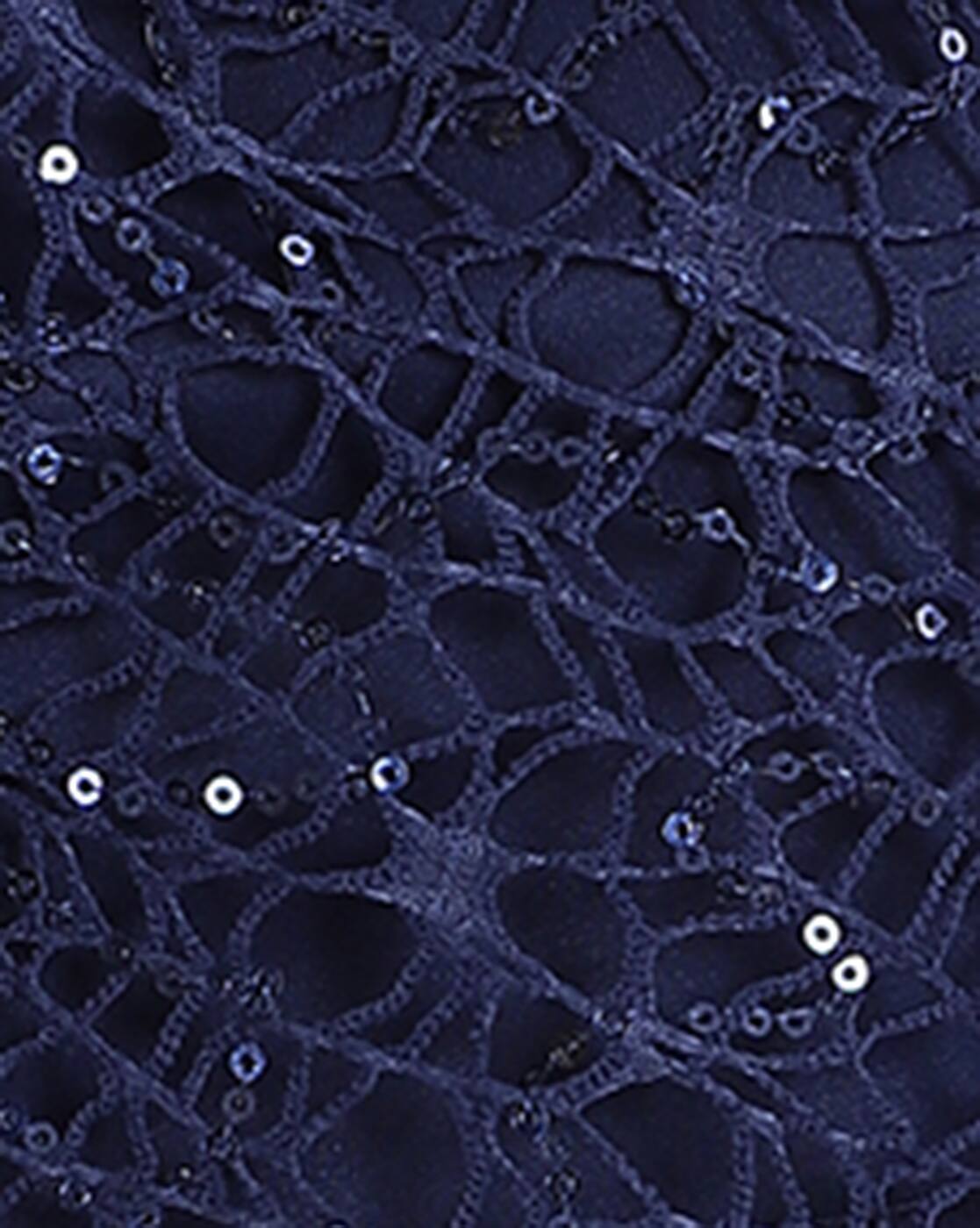 Asymmetrical Neck Lace Sequined Sheer Crop Top